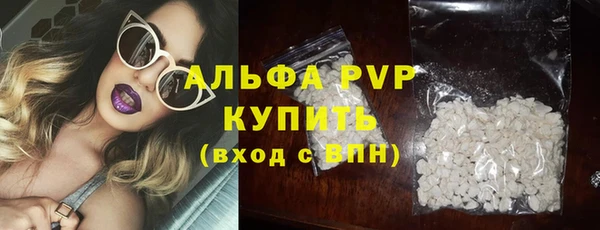СК Богородицк