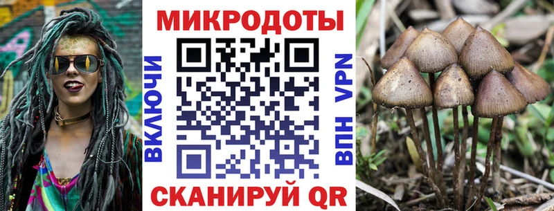 Псилоцибиновые грибы Cubensis  Купить закладки  Мещовск 